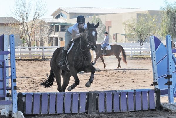 All That Baby Horse Jumping Photos